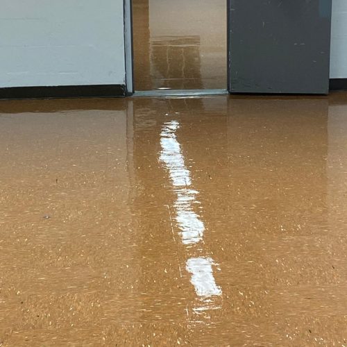 WhatsApp Image 2026-04-03 at 11.02.53 AM